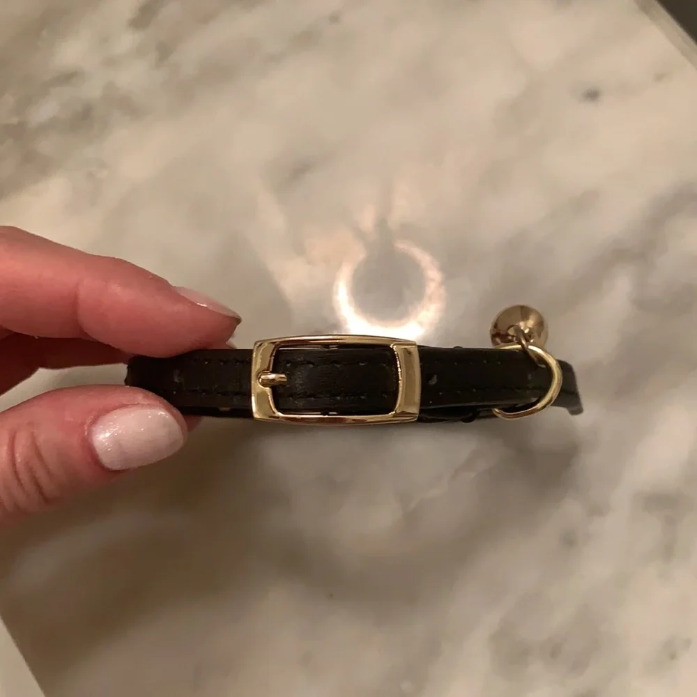 Cat collar